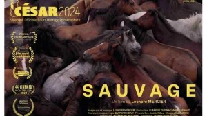 Sauvage