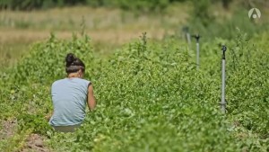 Binettes contre anxiolytiques