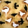 Les Oiseaux blancs et les oiseaux noirs