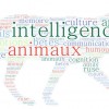 L'intelligence animale en question