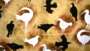 Les Oiseaux blancs et les oiseaux noirs