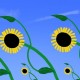 Tournesol (2023)
