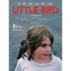 Little Bird