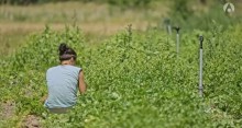 Binettes contre anxiolytiques