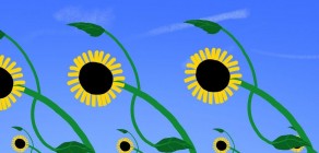 Tournesol