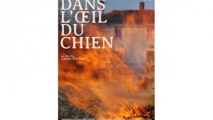 Dans l'œil du chien