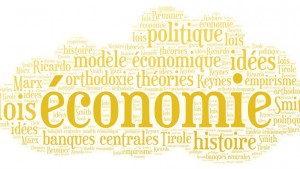 Existe-t-il un modèle économique idéal ?