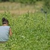 Binettes contre anxiolytiques