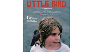 Little Bird