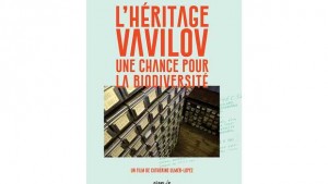 L'héritage Vavilov, une chance pour la biodiversité