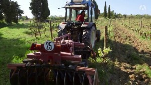 En quête du vin nature