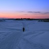 Solovki, la bibliothèque disparue