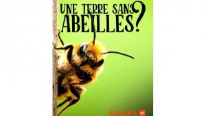 Une terre sans abeilles ?