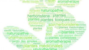 Découvrir les plantes médicinales et leurs usages