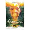 Amazonie, à la rencontre des gardiens et des gardiennes de la forêt