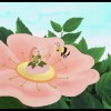 Rose, petite fée des fleurs