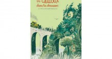 Des cailloux dans la chaussure