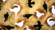Les Oiseaux blancs et les oiseaux noirs