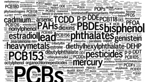 Perturbateurs endocriniens, peut-on s'en protéger ?